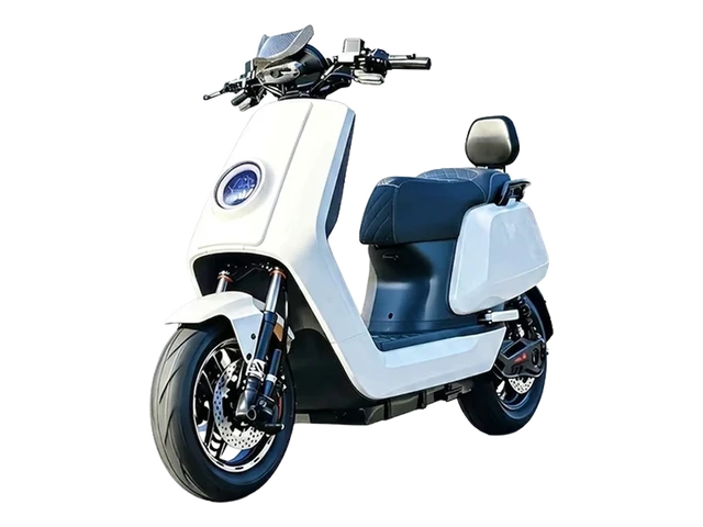 LT029